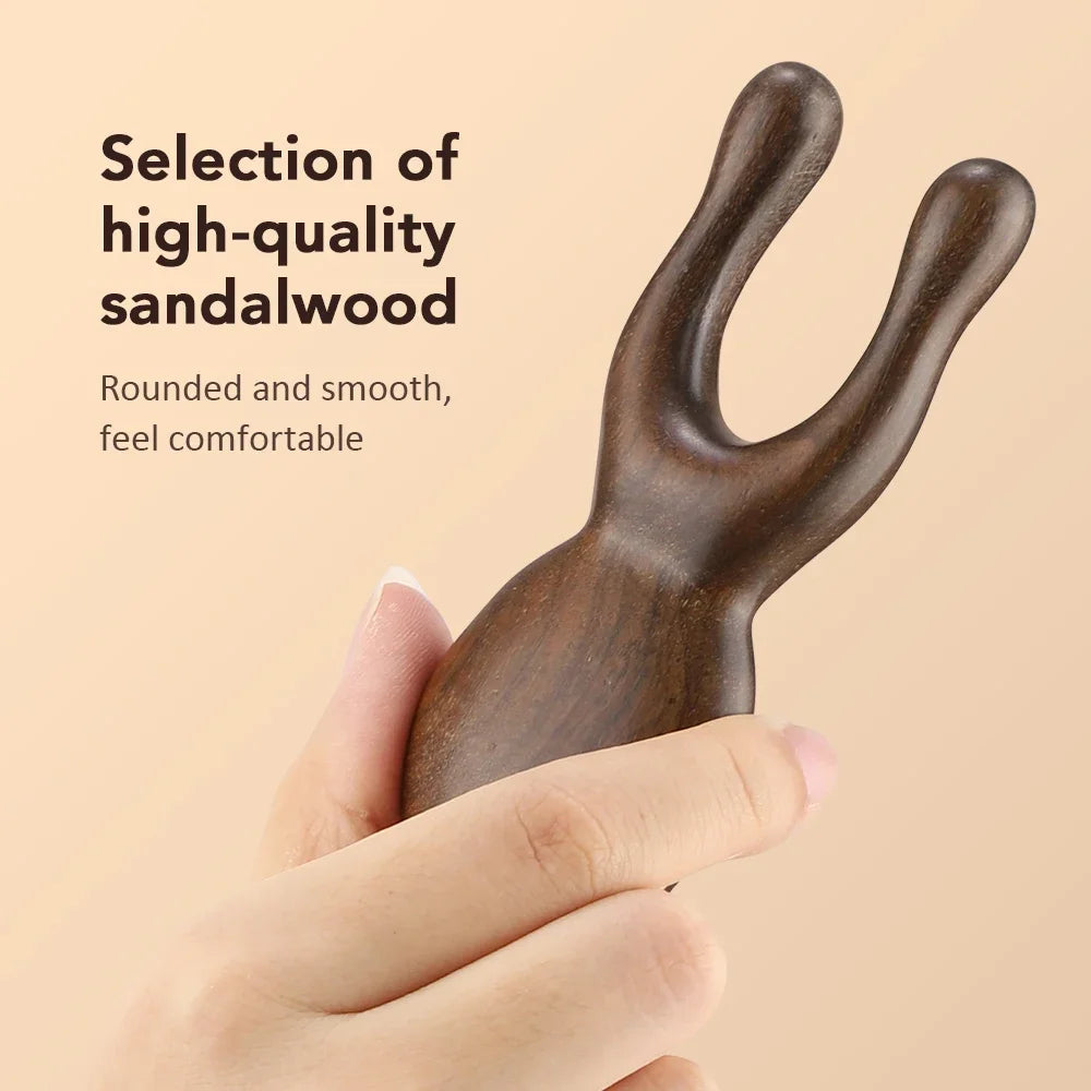 Eliora ~ facial massager